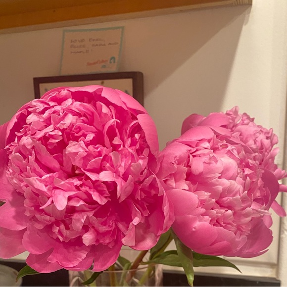 Meet your Posher, Nathalie - Picture 1 of 1